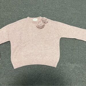 Zara Blush Knit Sweater with Floral Accents